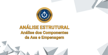 Análise dos Componentes da Asa e Empenagem